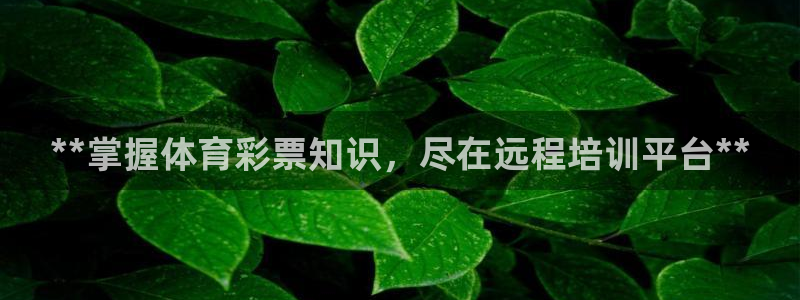 富联平台孩7O777：**掌握体育彩票知识，尽在远程培训平台