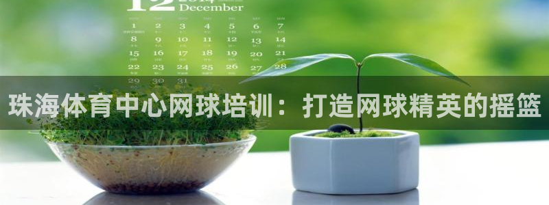 富联娱乐军7O777：珠海体育中心网球培训：打造网球