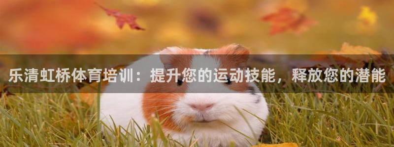 富联娱乐会员多少钱：乐清虹桥体育培训：提升您的运动技