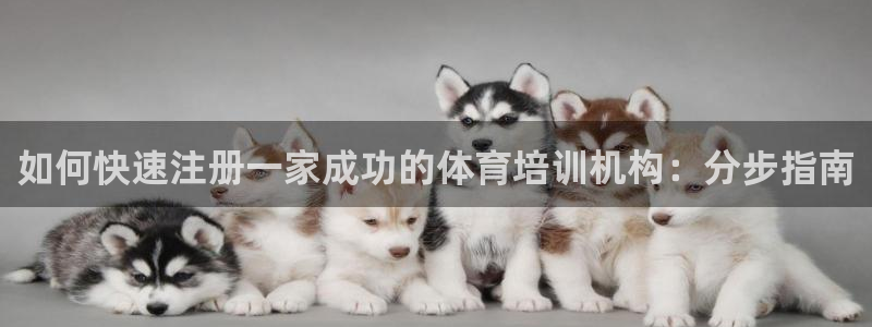 富联娱乐平台怎么样可靠吗：如何快速注册一家成功的体育培训机构