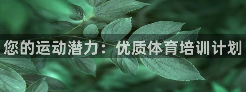 富联官方网站入口下载安卓：您的运动潜力：优质体育培训计划