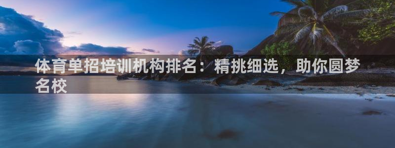 富联申购是什么股票板块：体育单招培训机构排名：精挑细选，助你