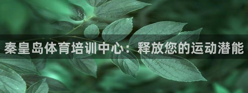 富联公寓租房怎么样：秦皇岛体育培训中心：释放您的运动