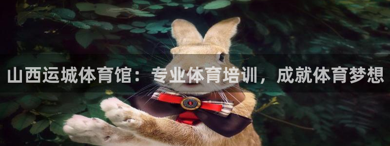 富联股份股票：山西运城体育馆：专业体育培训，成就体育