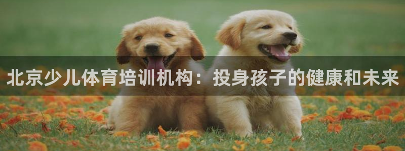 富联娱乐代理怎么做的：北京少儿体育培训机构：投身孩子的健康和