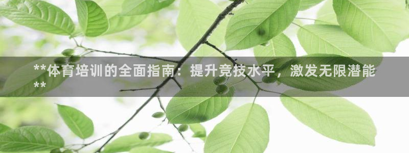 富联平台合 58534I 平台：**体育培训的全面指南：提升