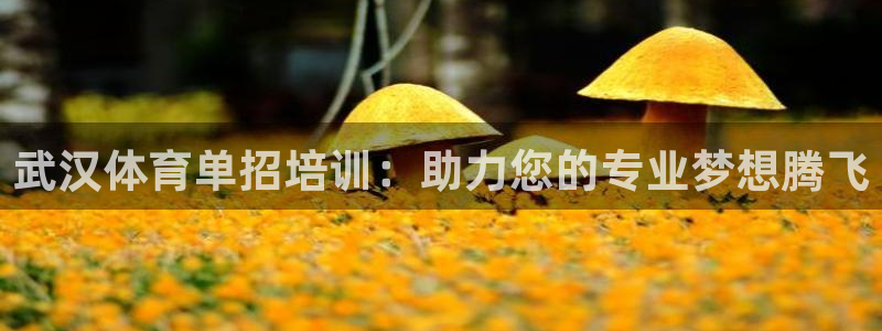 富联平台登录网址查询：武汉体育单招培训：助力您的专业