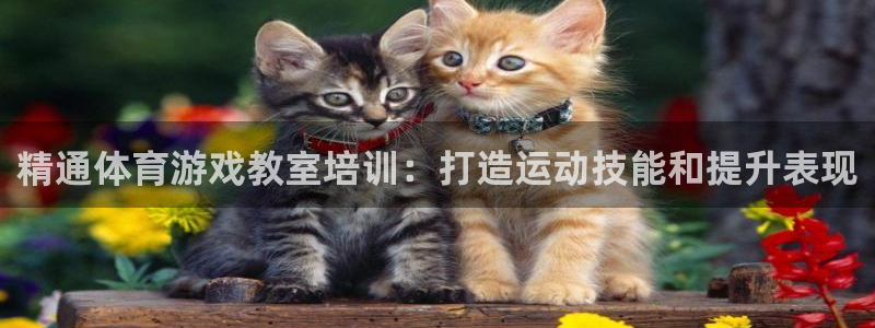 富联小区：精通体育游戏教室培训：打造运动技能和提升表