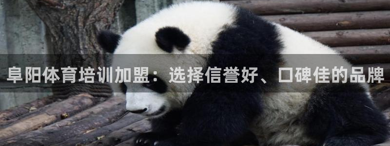 香港富联国际集团：阜阳体育培训加盟：选择信誉好、口碑