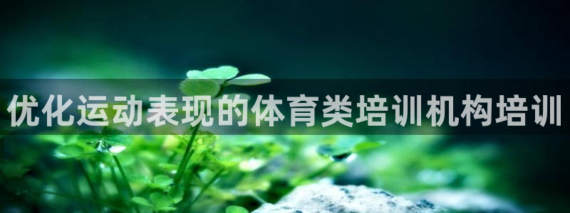 富联是什么软件：优化运动表现的体育类培训机构培训