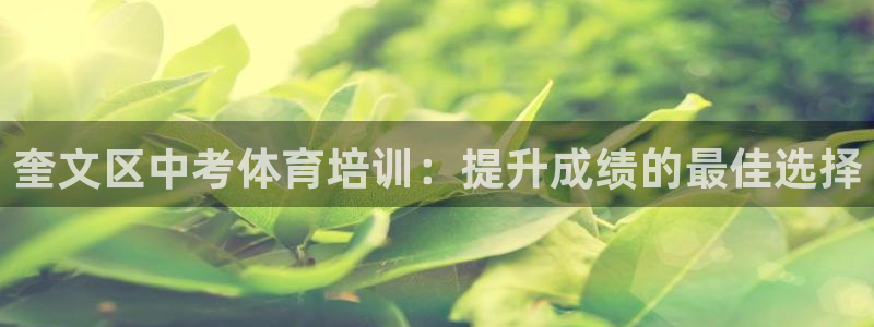 富联平台社7O777：奎文区中考体育培训：提升成绩的