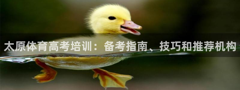 富联平台官网：太原体育高考培训：备考指南、技巧和推荐