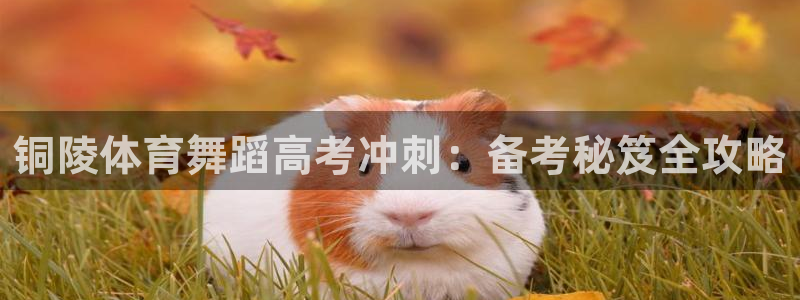 富联官方网站首页入口下载：铜陵体育舞蹈高考冲刺：备考