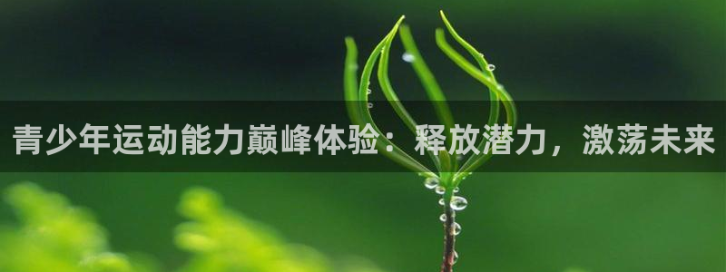 富联官方网站入口查询电话：青少年运动能力巅峰体验：释