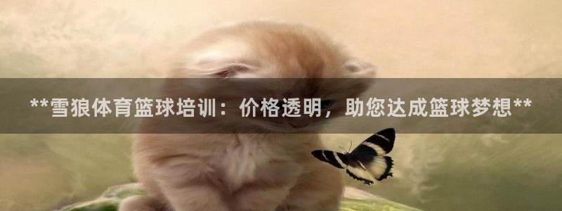 富联娱乐在线注册链接是什么：**雪狼体育篮球培训：价格透明，