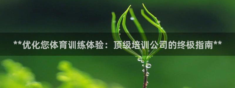 富联娱乐访问：**优化您体育训练体验：顶级培训公司的