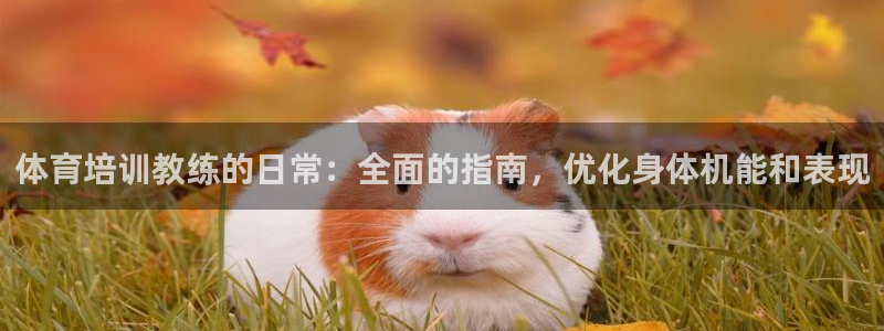 富联娱乐口 411O31 娱乐：体育培训教练的日常：