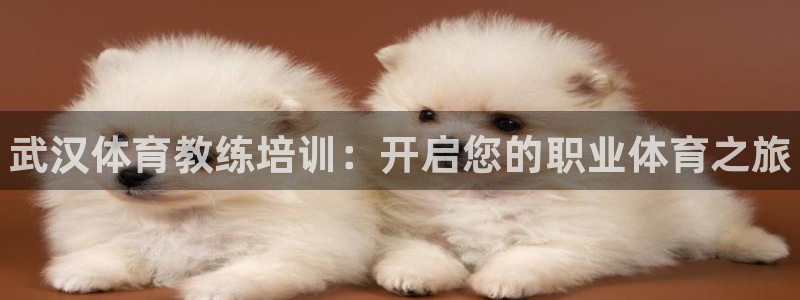 富联娱乐是真的吗：武汉体育教练培训：开启您的职业体育之旅