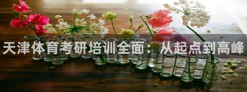 富联平台离7O777：天津体育考研培训全面：从起点到高峰