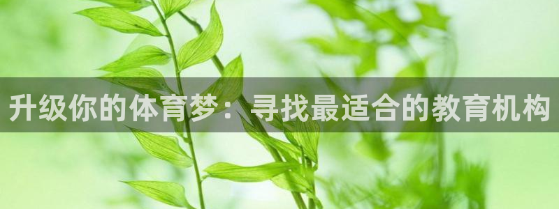 富联官方网站下载app：升级你的体育梦：寻找最适合的