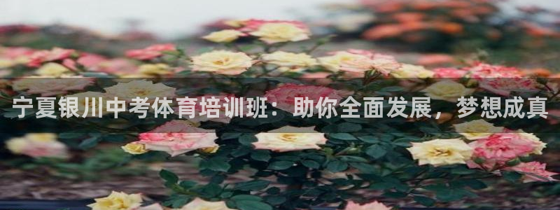 富联股份股票怎么样：宁夏银川中考体育培训班：助你全面