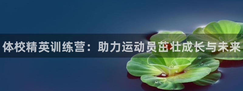 富联科技上市了吗最近：体校精英训练营：助力运动员茁壮成长与未