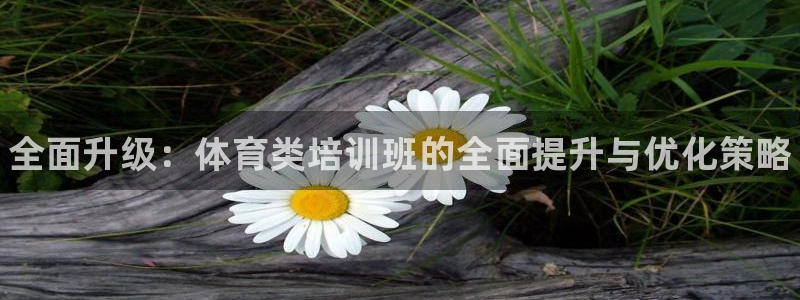 富联最新股价：全面升级：体育类培训班的全面提升与优化策略