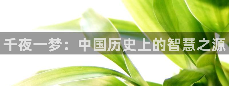 丫丫影院电视剧在线播放：千夜一梦：中国历史上的智慧之源