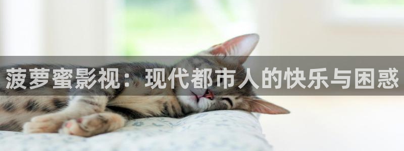丫丫4480：菠萝蜜影视：现代都市人的快乐与困惑