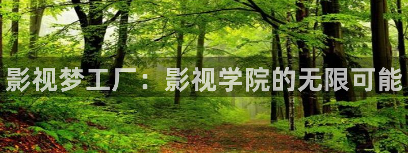 丫丫4410青苹果影院：影视梦工厂：影视学院的无限可能