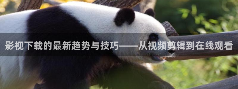丫丫6080新视觉影院：影视下载的最新趋势与技巧——从视频剪辑到在线观看
