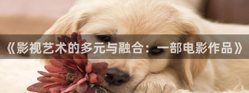 丫丫影院免费观看电视剧丫丫6080：《影视艺术的多元与融合：一部电影作品》