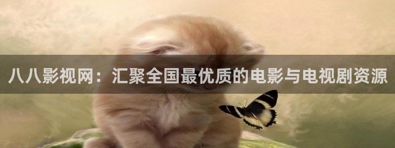 丫丫影院免费在线看电影：八八影视网：汇聚全国最优质的电影与电视剧资源
