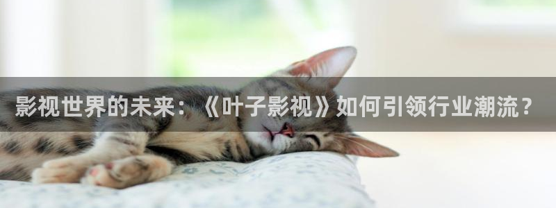 丫丫4480私人影院免费：影视世界的未来：《叶子影视》如何引领行业潮流？
