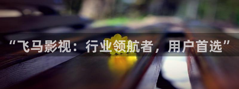 丫丫私人影院：“飞马影视：行业领航者，用户首选”
