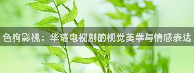 丫丫影院在线播放：色狗影视：华语电视剧的视觉美学与情感表达