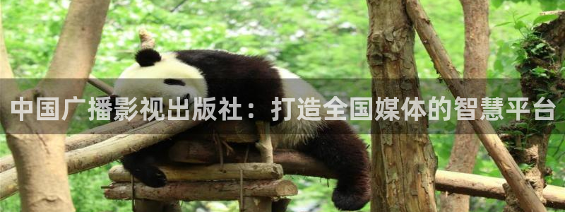 丫丫影院电视剧在线播放：中国广播影视出版社：打造全国媒体的智慧平台