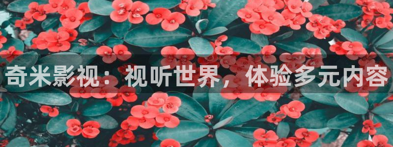 丫丫影院免费观看电视剧丫丫6080：奇米影视：视听世界，体验多元内容