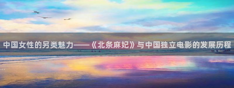 丫丫4480私人影院免费：中国女性的另类魅力——《北条麻妃》与中国独立电影的发展历程